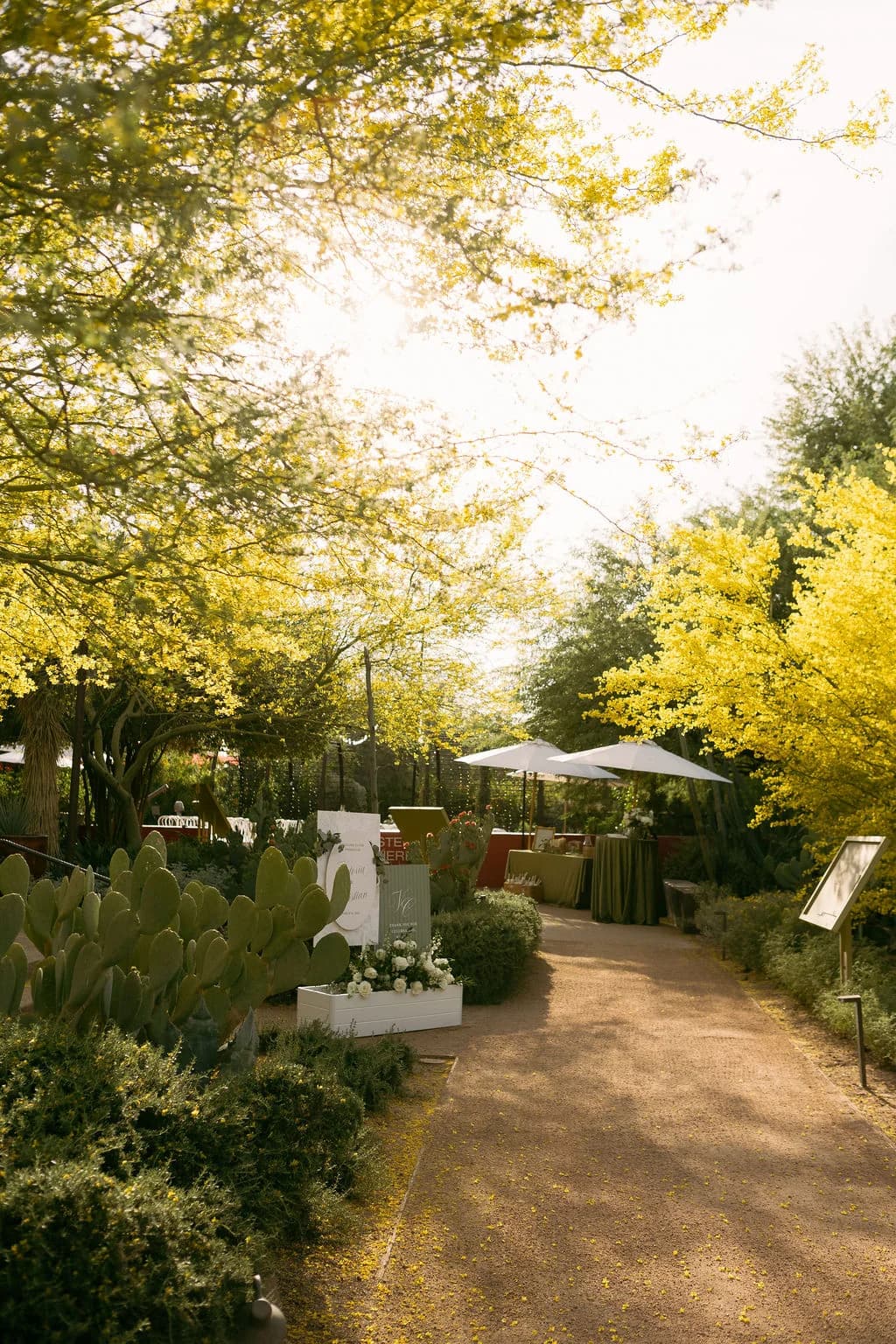 Desert Botanical Garden wedding pathway leading to the ceremony site